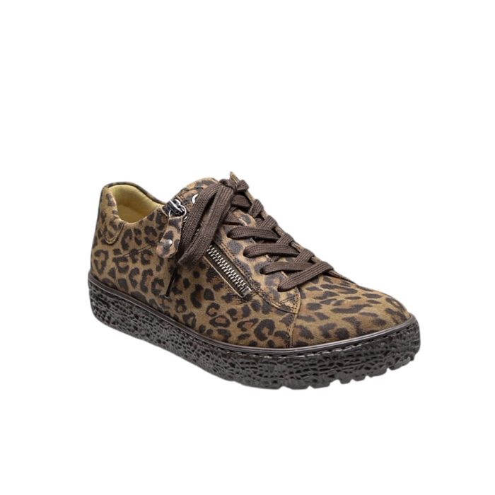 Hartjes_Dsp.Moll_306-11 - Afbeelding 5