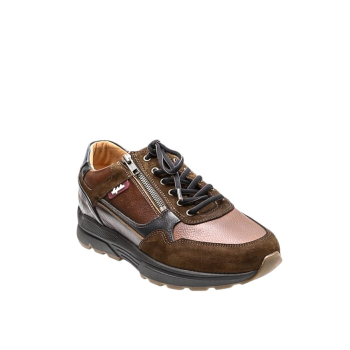 Australian_Hsp.Moll_306-18