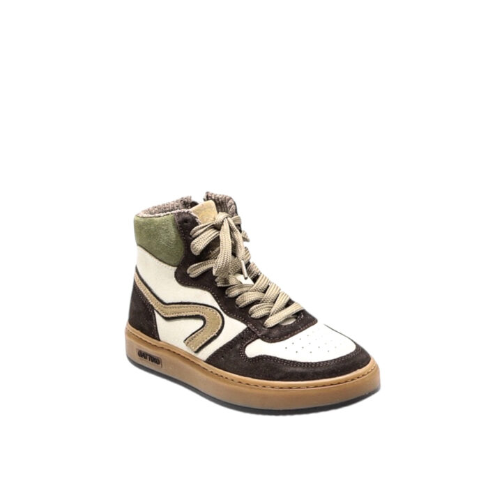 Gattino.J.252-13