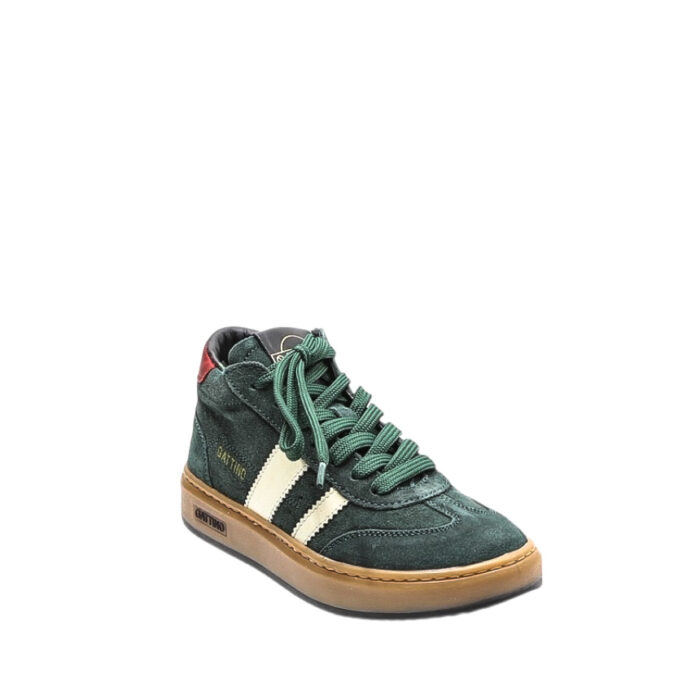 Gattino.J.252-28