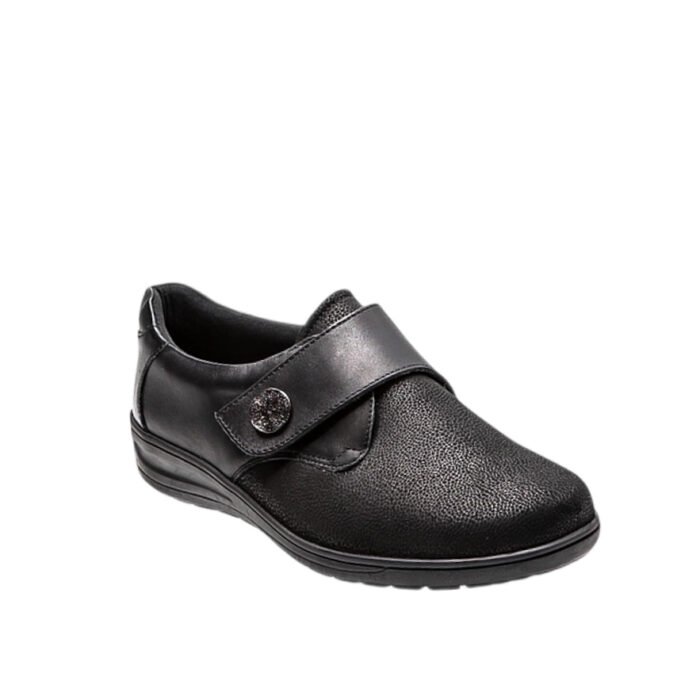 Solidus_D.Flat_601-14