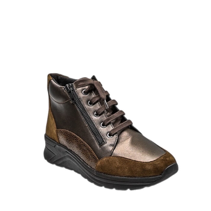 Solidus_D.Bott_306-36